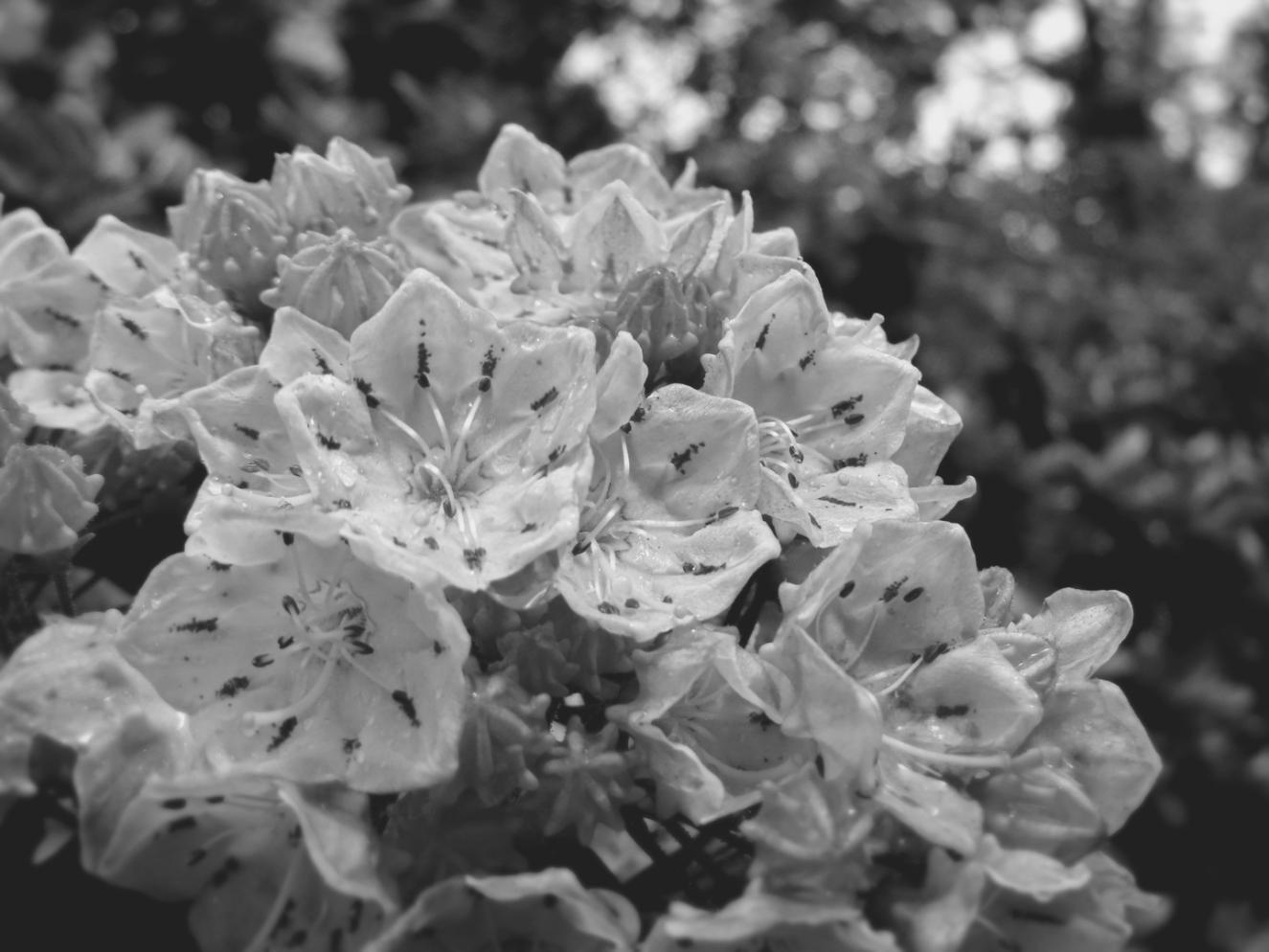 Custom bouquet arrangement showing seasonal flower varieties