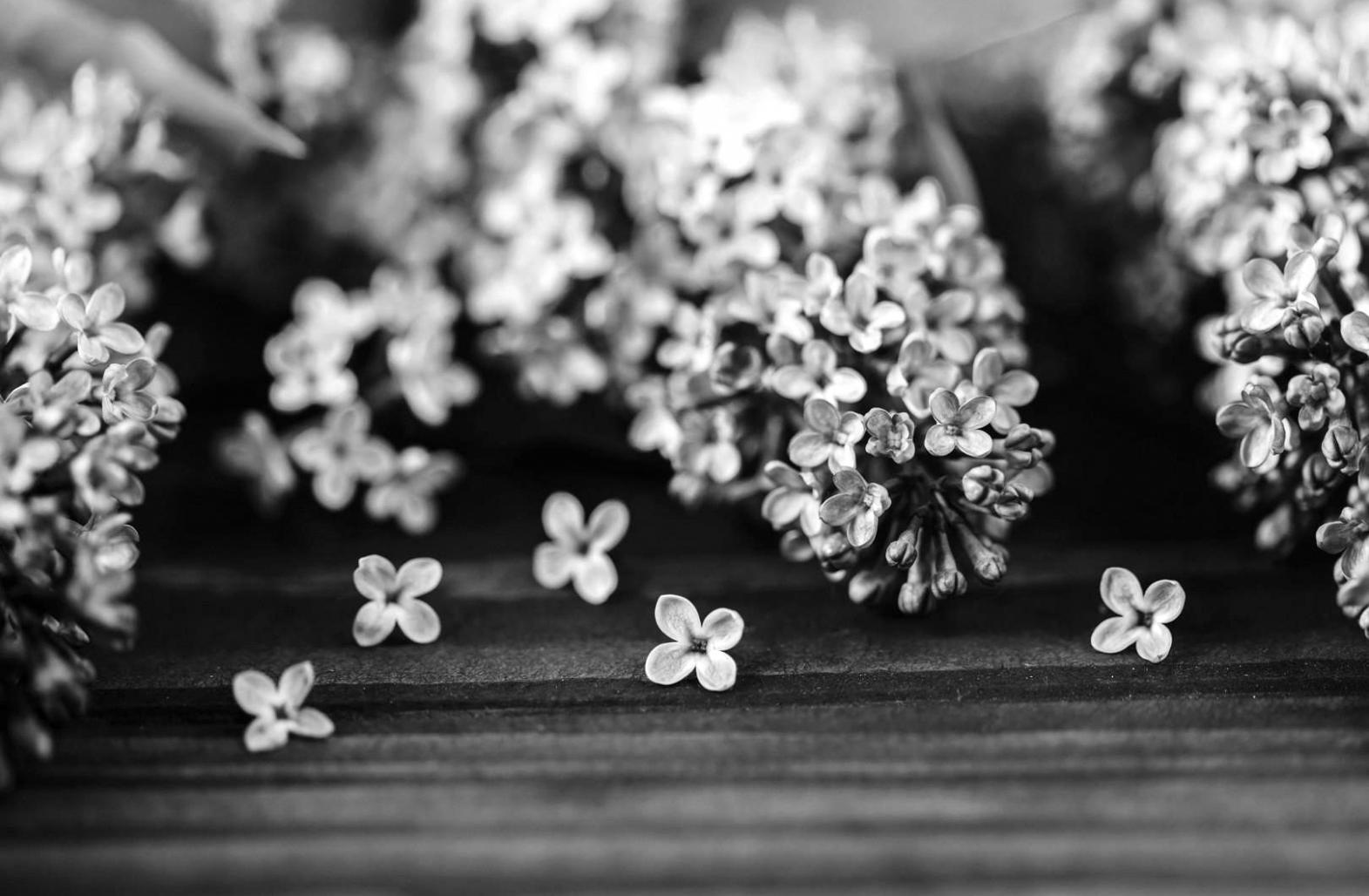 Students collaborating during game development workshop session